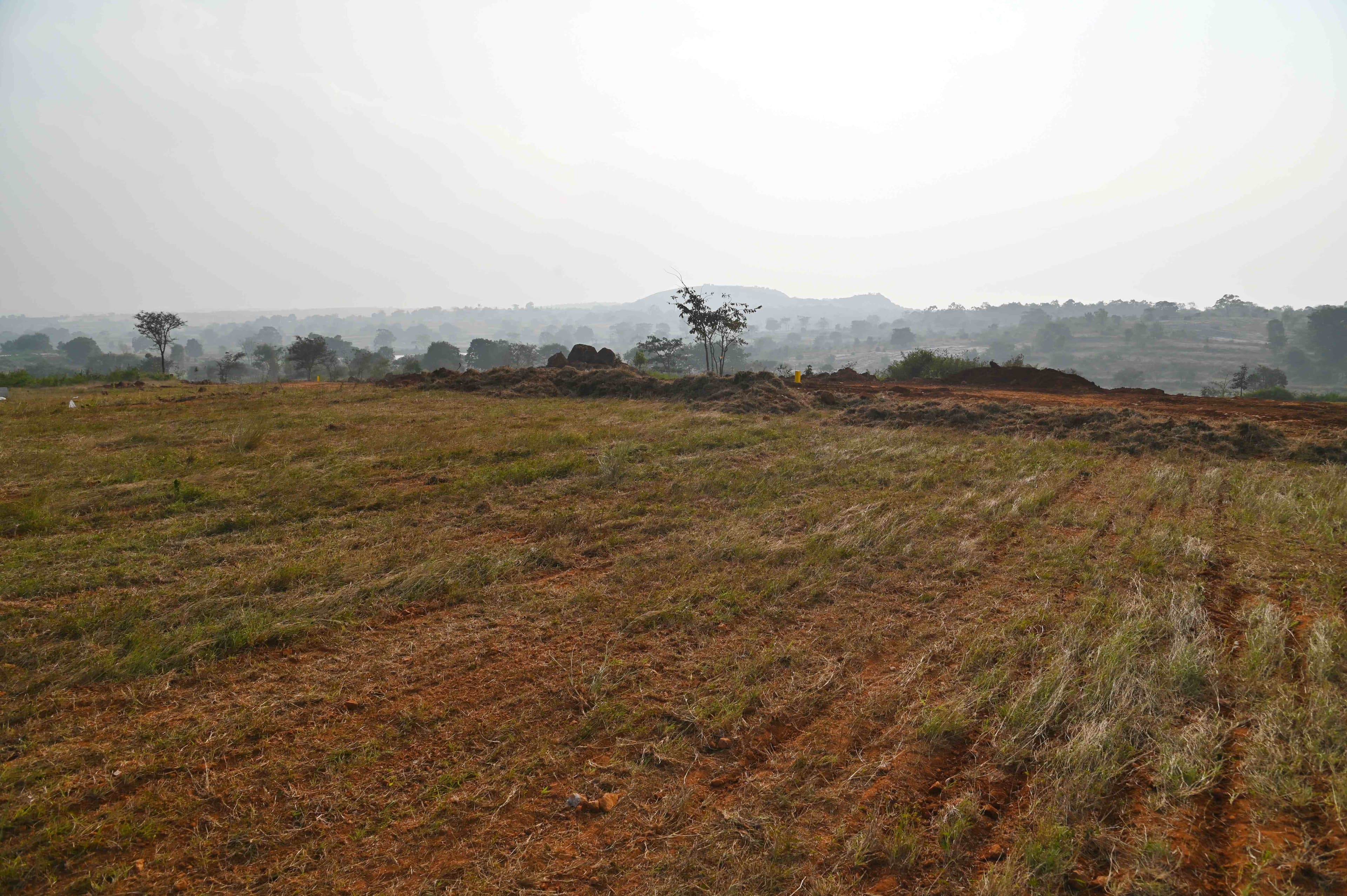 organic farmland near bangalore 1