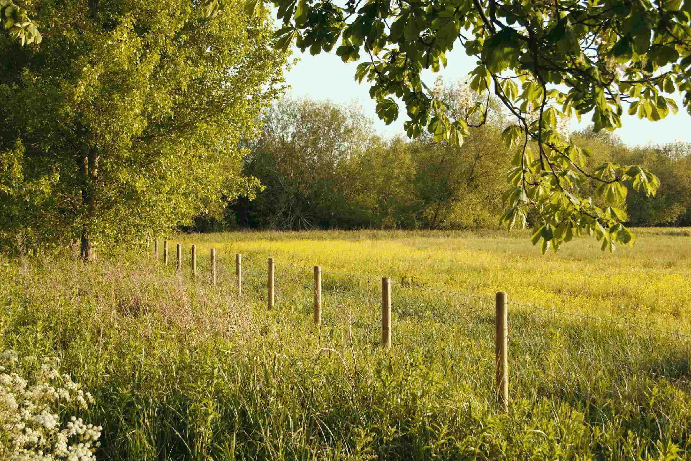 managed organic farmland 3