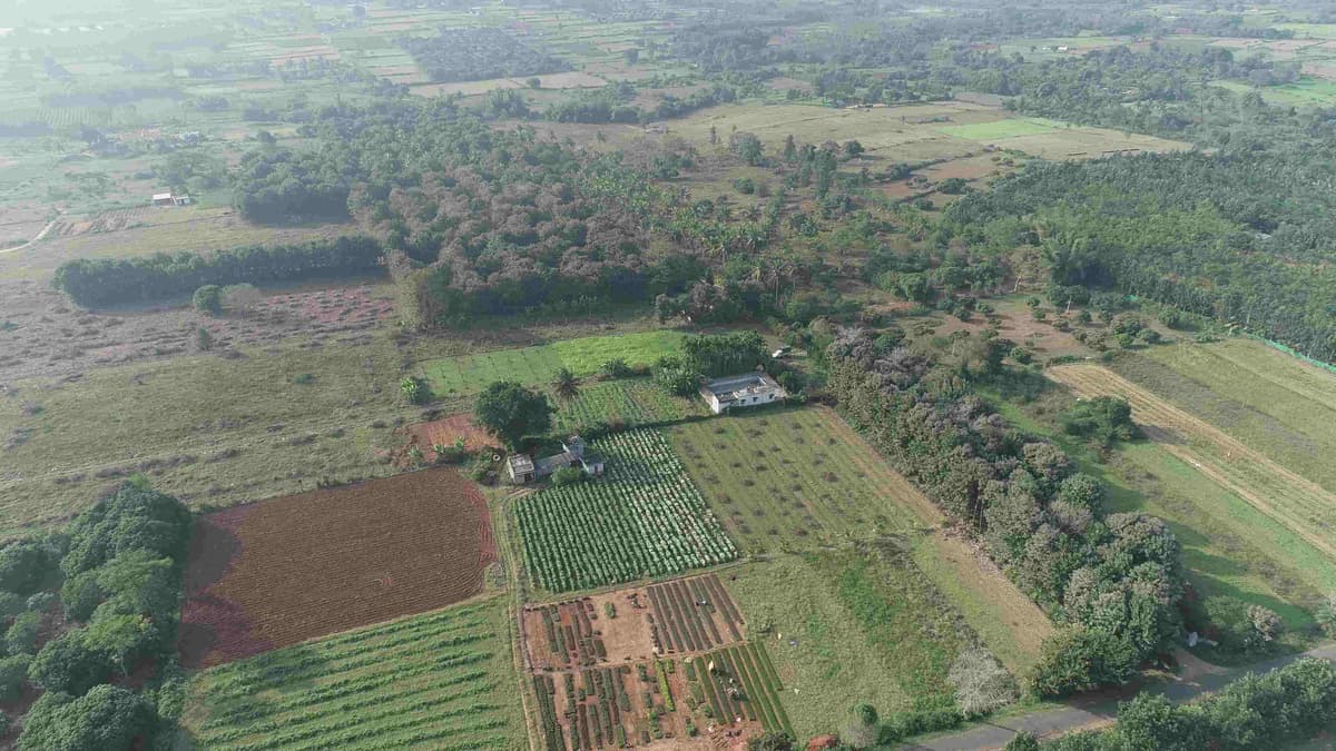 Organic farmland for sale near Bangalore and Mumbai