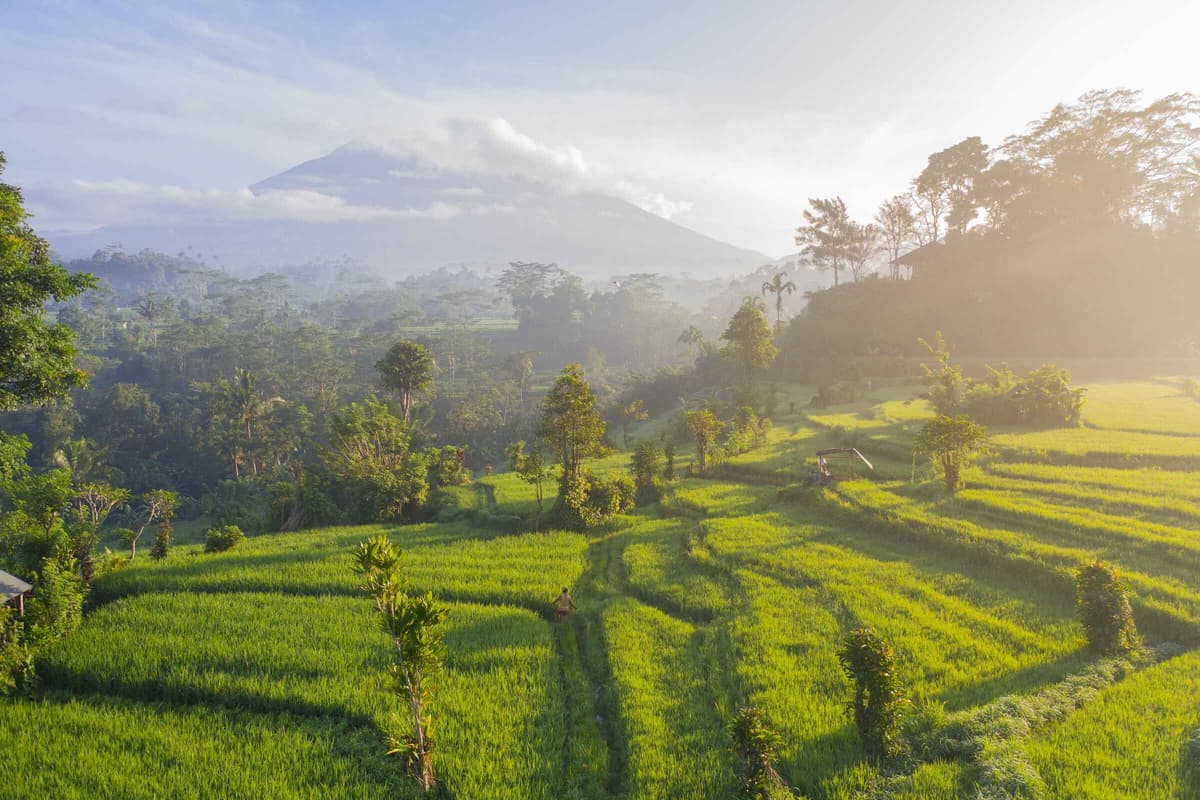 Managed organic farmland near Bangalore and Mumbai